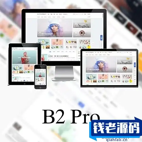 WordPress B2 Pro 主题5.2.0最新版本，欢乐版，包含官方包体和授权文件-钱老源码网