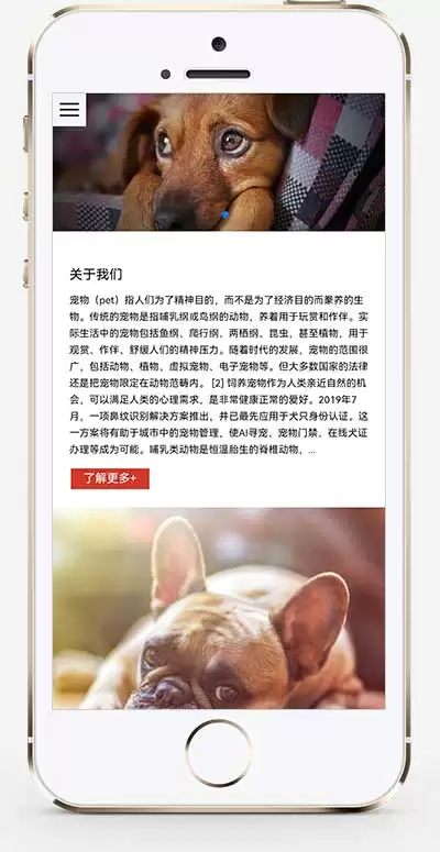 (自适应手机端)宠物零食网站源码 猫粮狗粮宠物粮食网站pbootcms模板