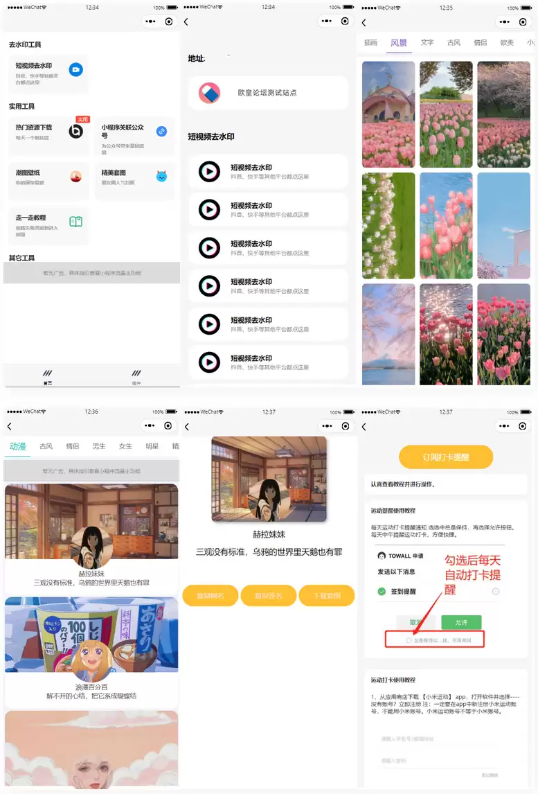 多接口带头像挂件制作短视频去水印微信小程序源码-钱老源码网