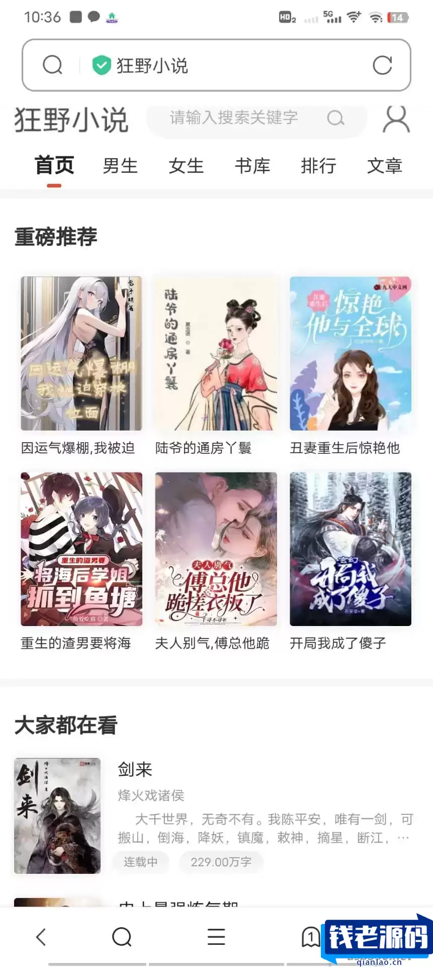 10月狂雨CMS的小说系统小说网站源码 带管理后台手机端和采集-钱老源码网