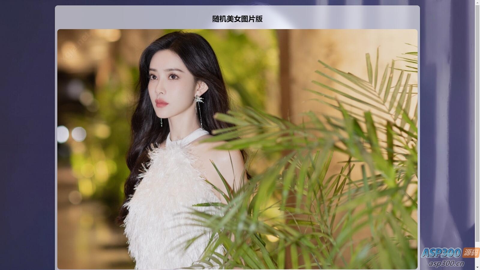 2025随机美图/视频源码