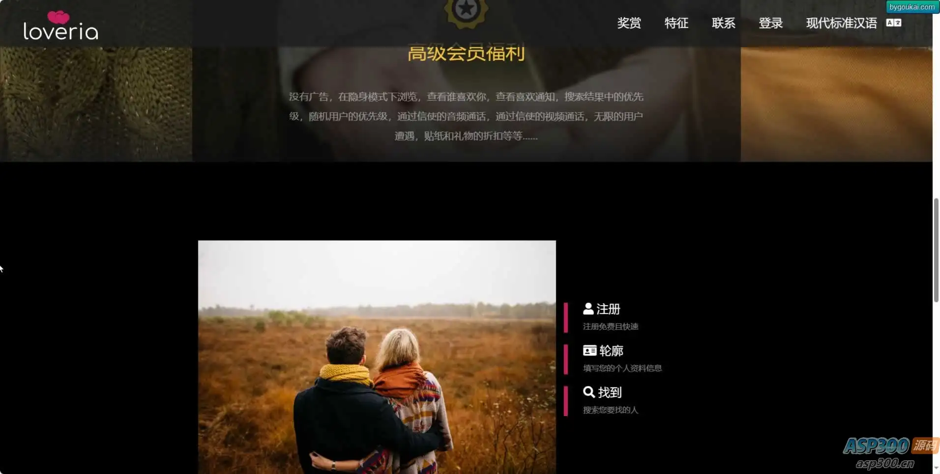 Loveria 3.3.0 破解版 – 高级约会交友系统网站源码【原生无修改】-钱老源码网
