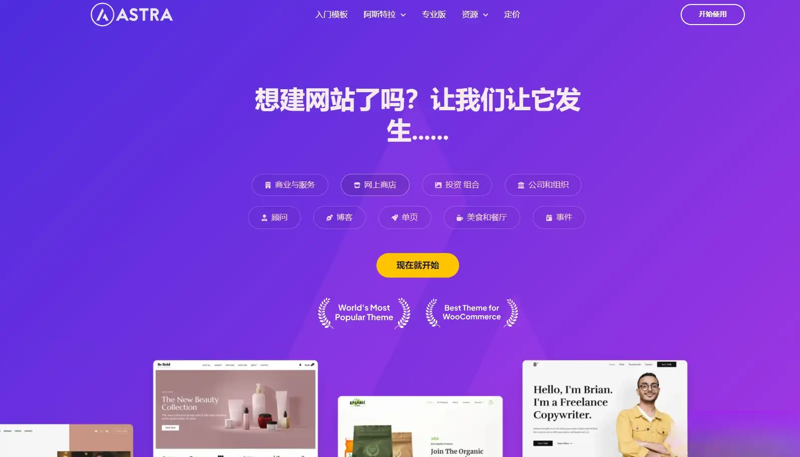Astra独立站全套主题整理 带pro版插件-钱老源码网