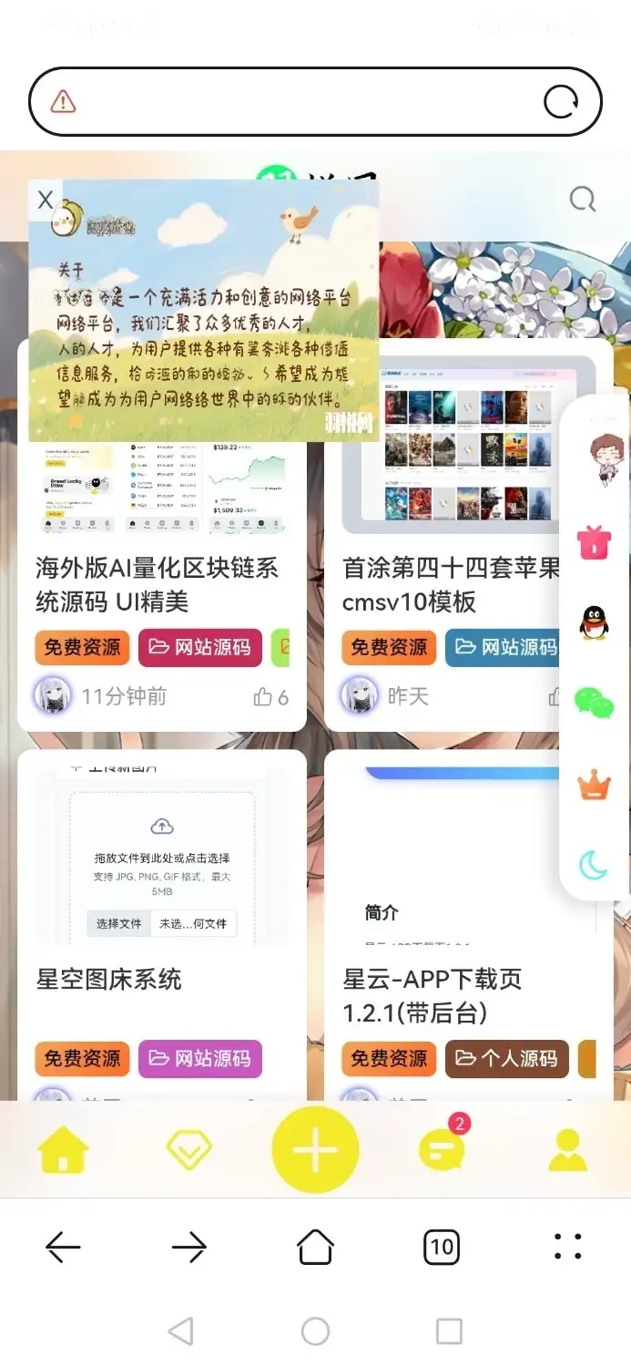 WordPress插件 星空飘动广告插件-钱老源码网