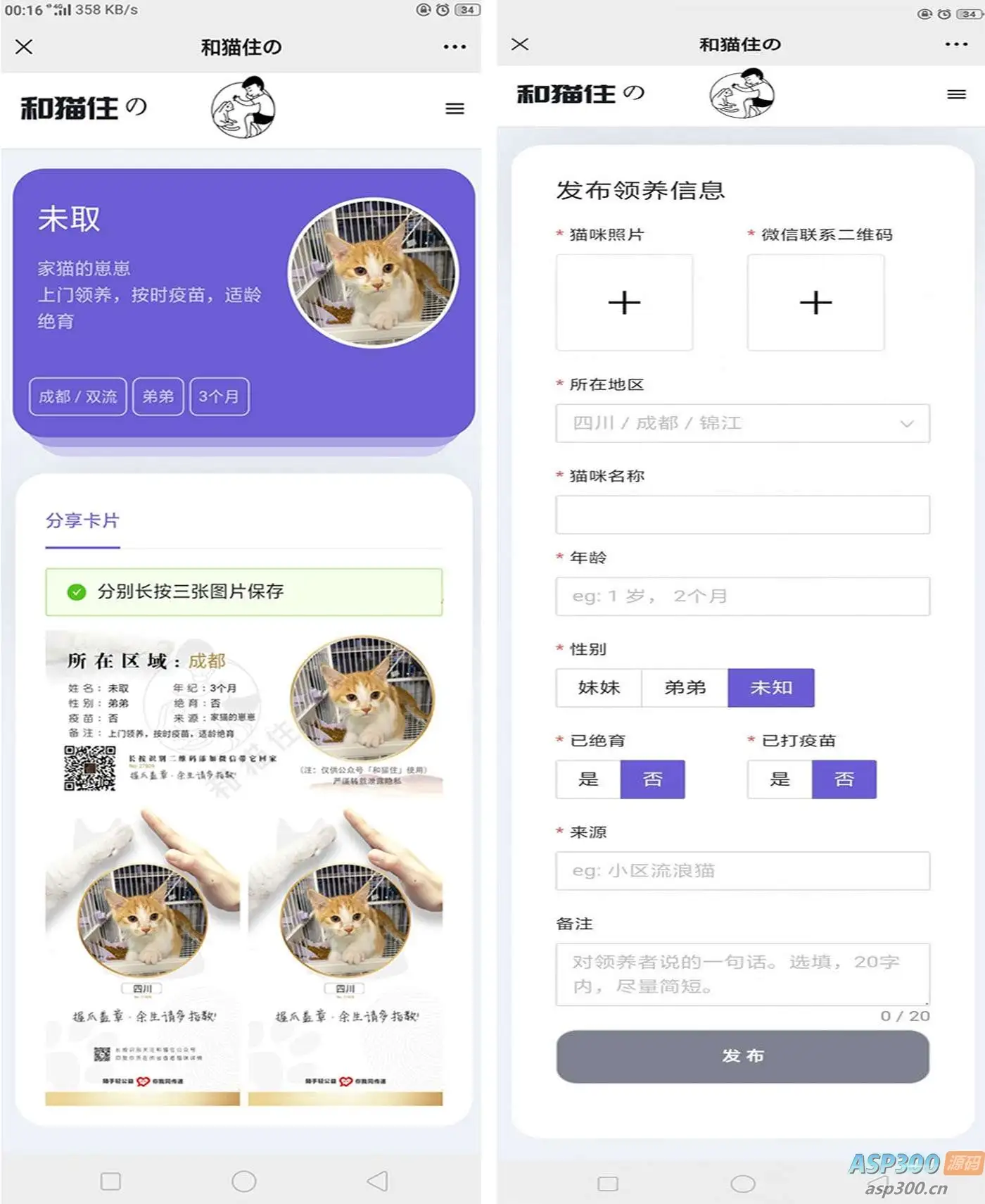 流浪猫流浪狗领养源码