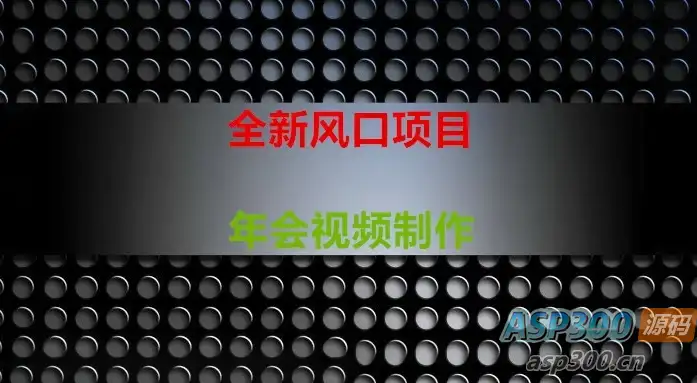 全新风口：年会视频制作项目，焕发新活力-钱老源码网