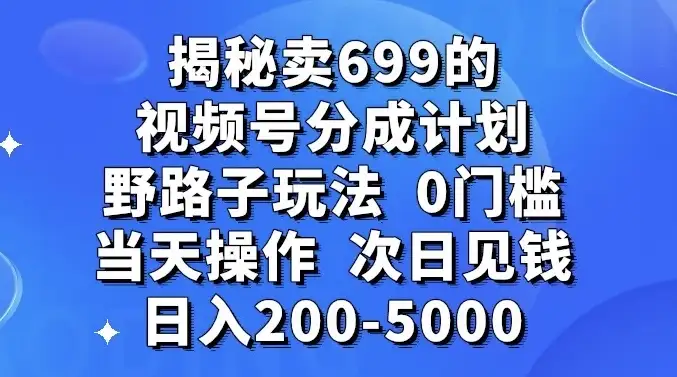 零门槛野路子玩法揭秘：卖699的短视频号分成计划，当天操作，次日即可赚取200-5000元-钱老源码网